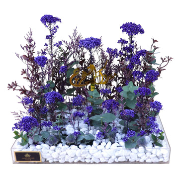 BLUE DESIGN 531